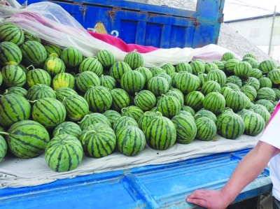 消暑降溫，永大機(jī)械購買解暑西瓜